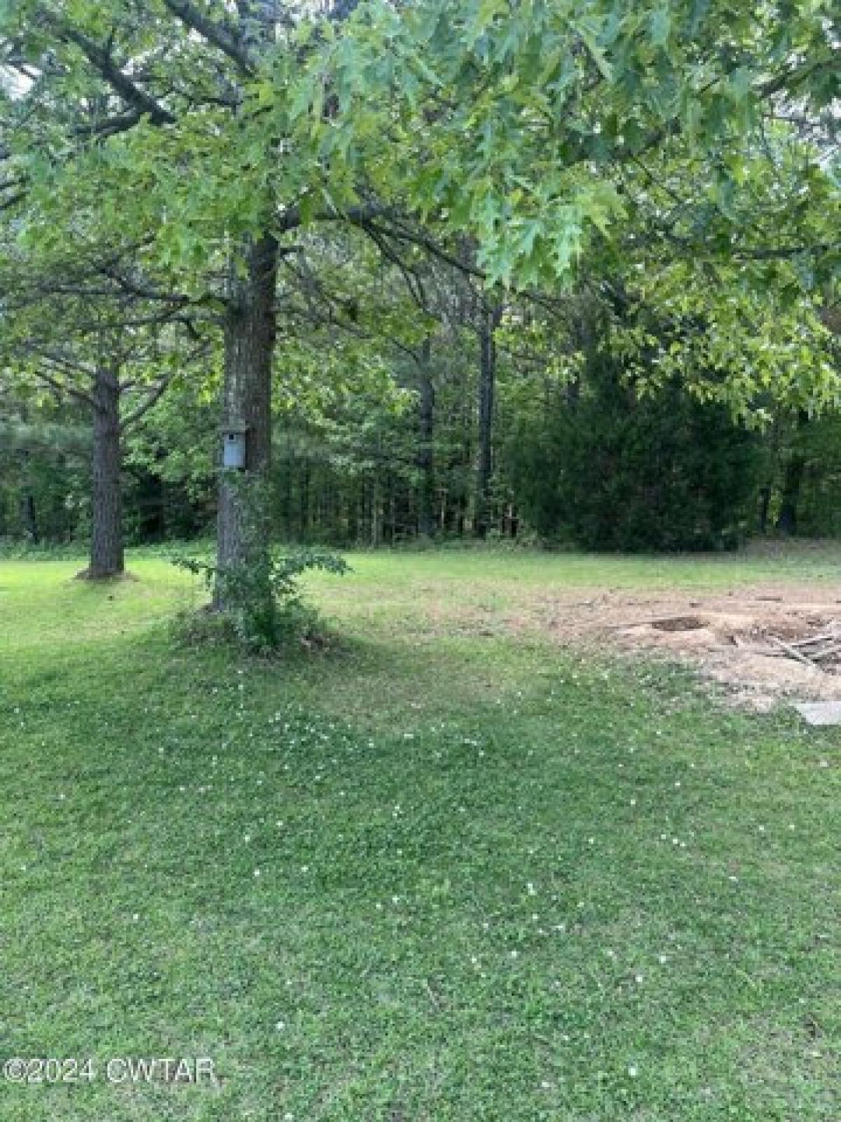 Picture of Residential Land For Sale in Jackson, Tennessee, United States