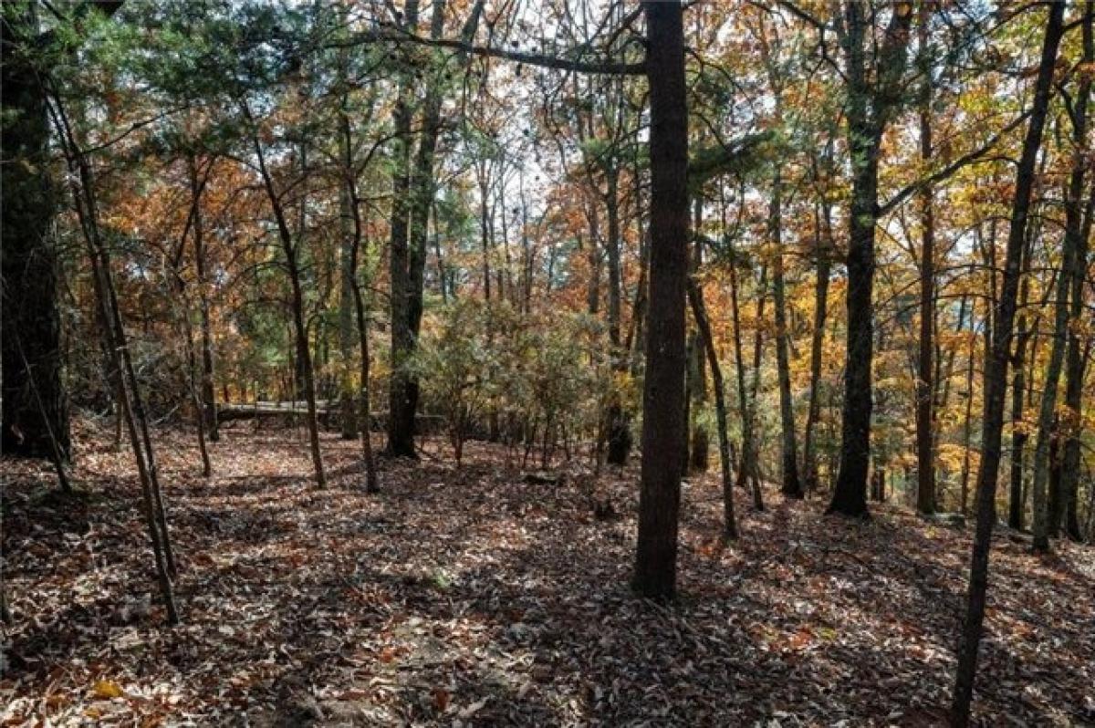 Picture of Residential Land For Sale in Cartersville, Georgia, United States