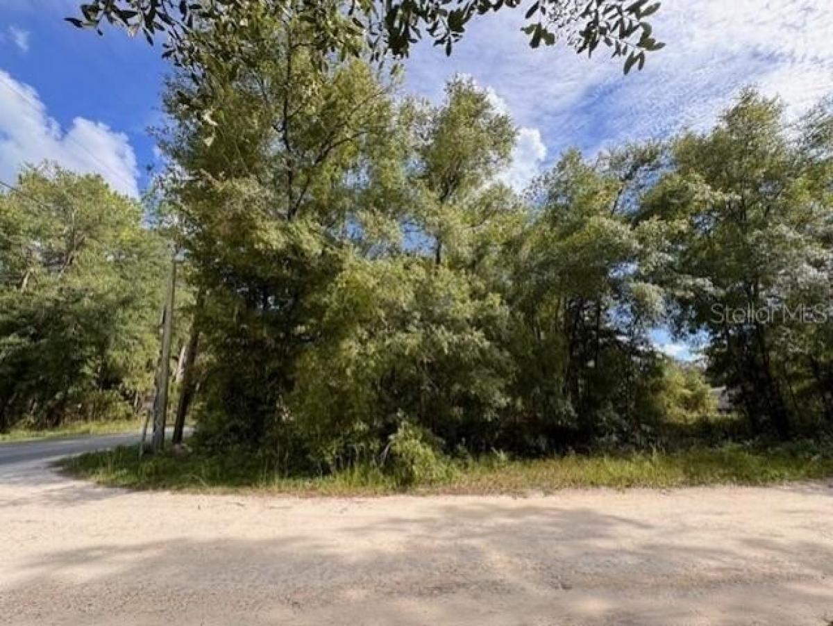 Picture of Residential Land For Sale in Bronson, Florida, United States