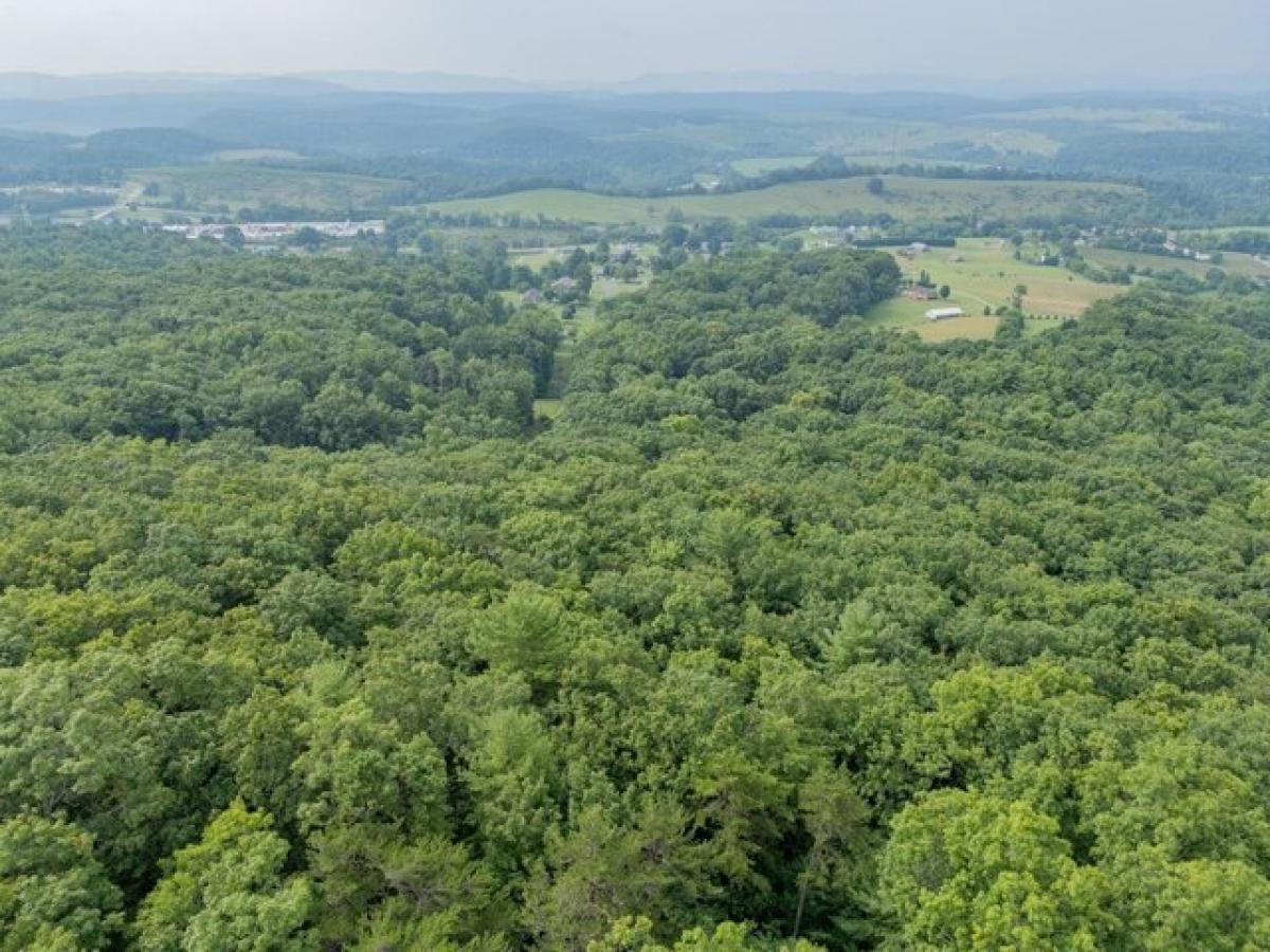 Picture of Residential Land For Sale in Max Meadows, Virginia, United States