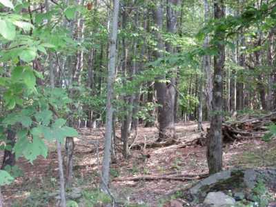 Residential Land For Sale in East Durham, New York