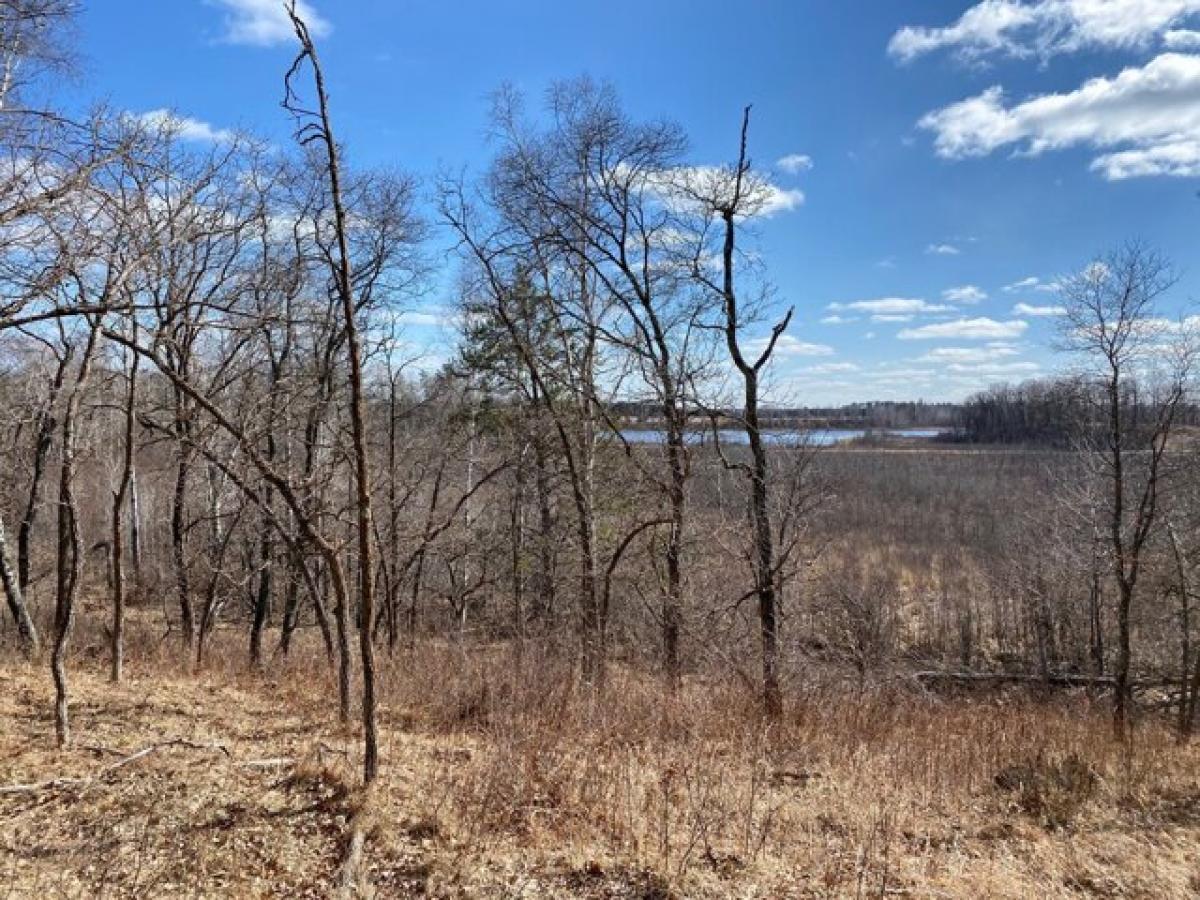 Picture of Residential Land For Sale in Bemidji, Minnesota, United States