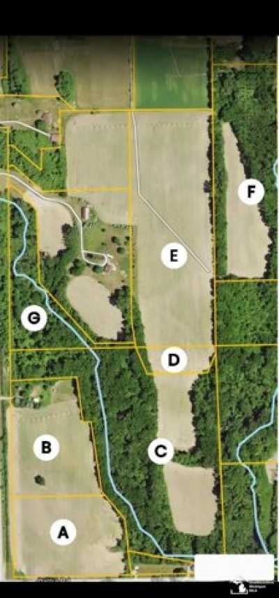 Residential Land For Sale in Dundee, Michigan