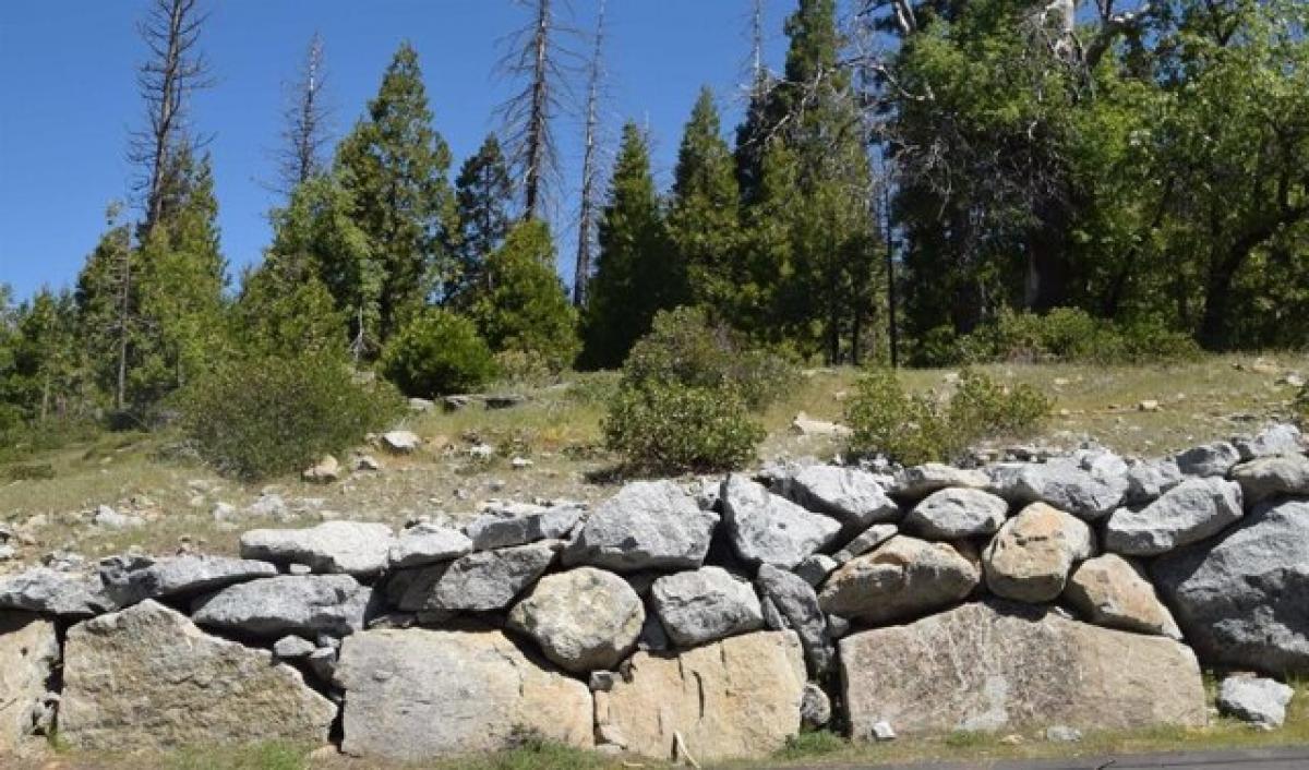 Picture of Residential Land For Sale in Shaver Lake, California, United States