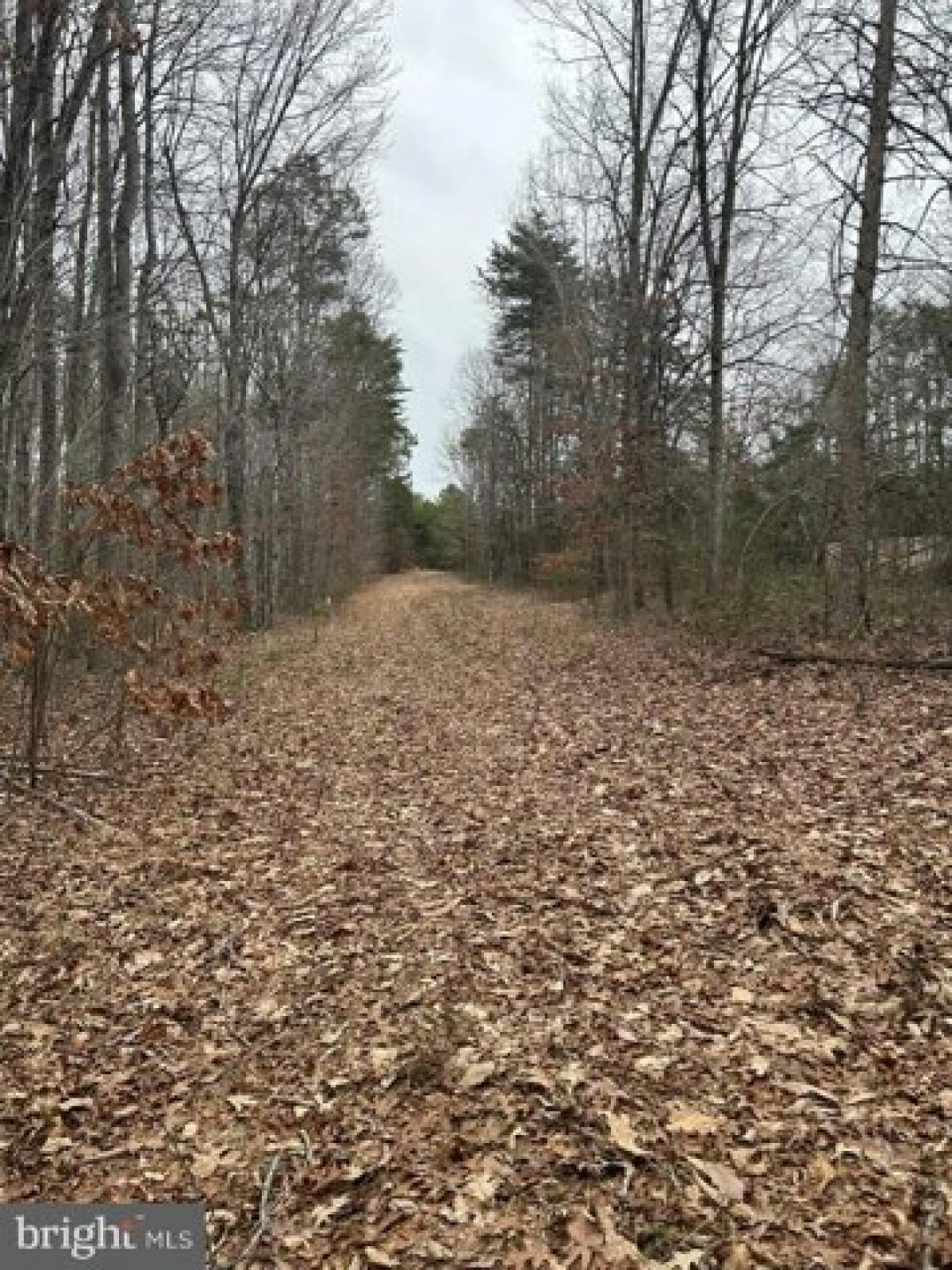 Picture of Residential Land For Sale in Mineral, Virginia, United States