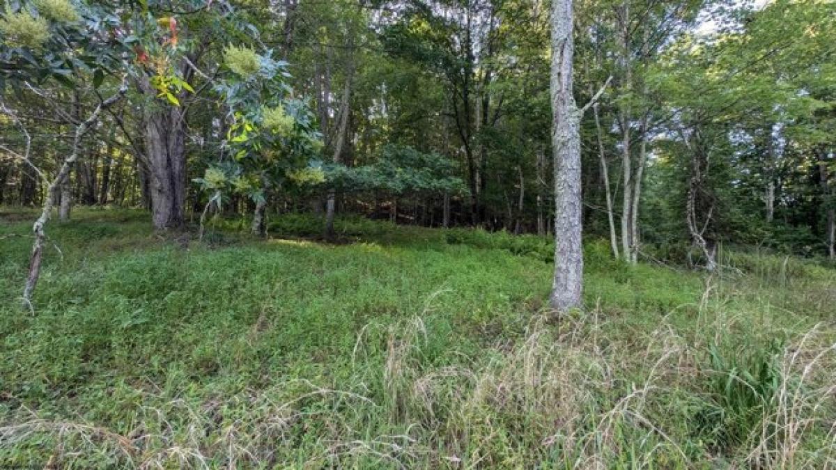 Picture of Residential Land For Sale in Fairmont, West Virginia, United States