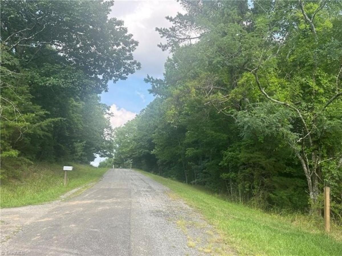 Picture of Residential Land For Sale in Lowgap, North Carolina, United States