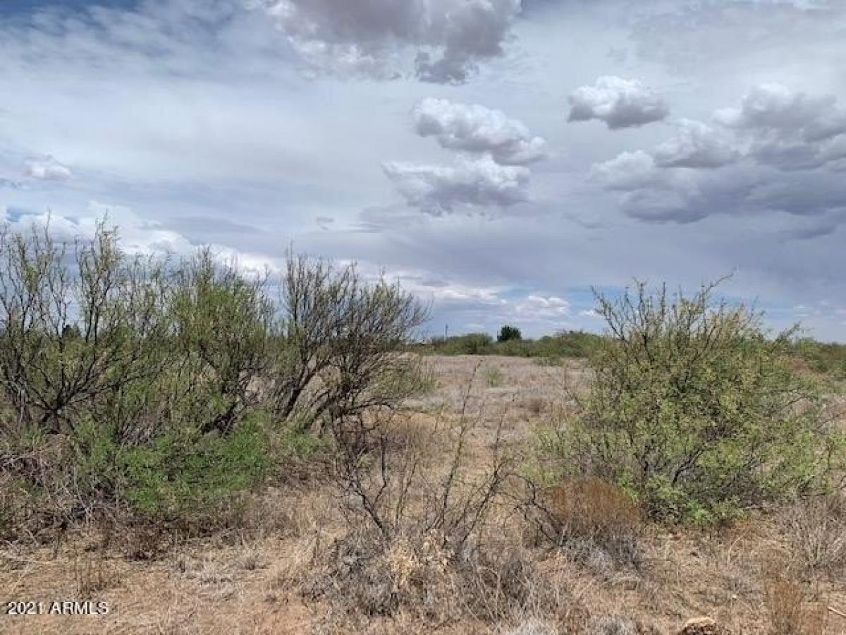 Picture of Residential Land For Sale in Douglas, Arizona, United States