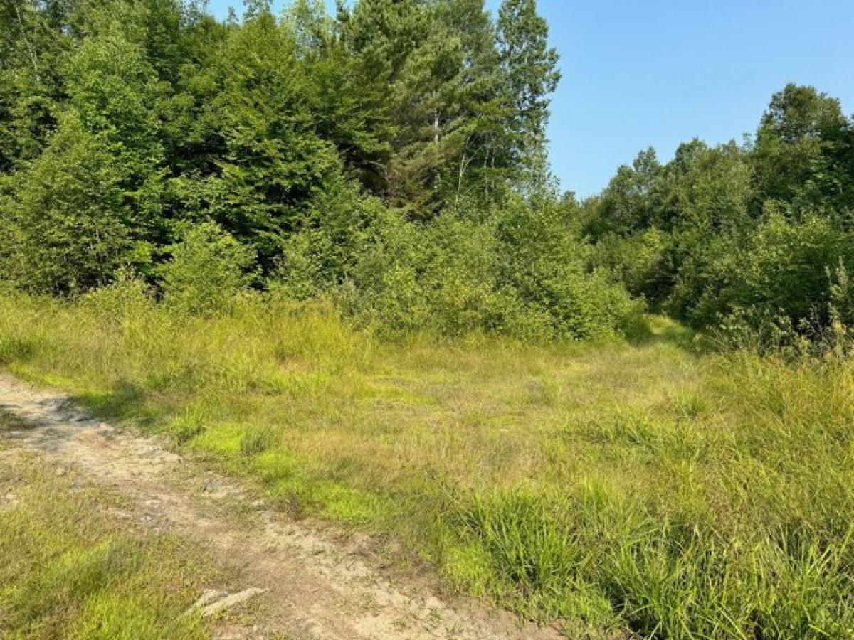 Picture of Residential Land For Sale in Brownville, Maine, United States