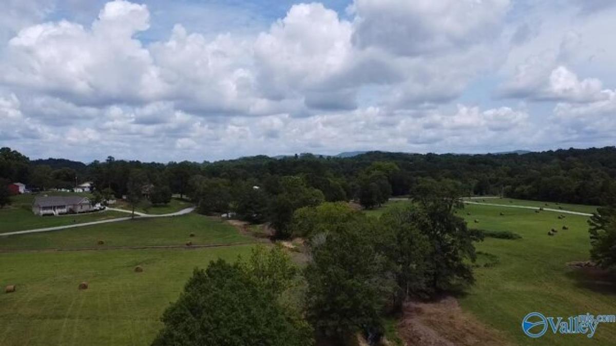 Picture of Residential Land For Sale in Piedmont, Alabama, United States