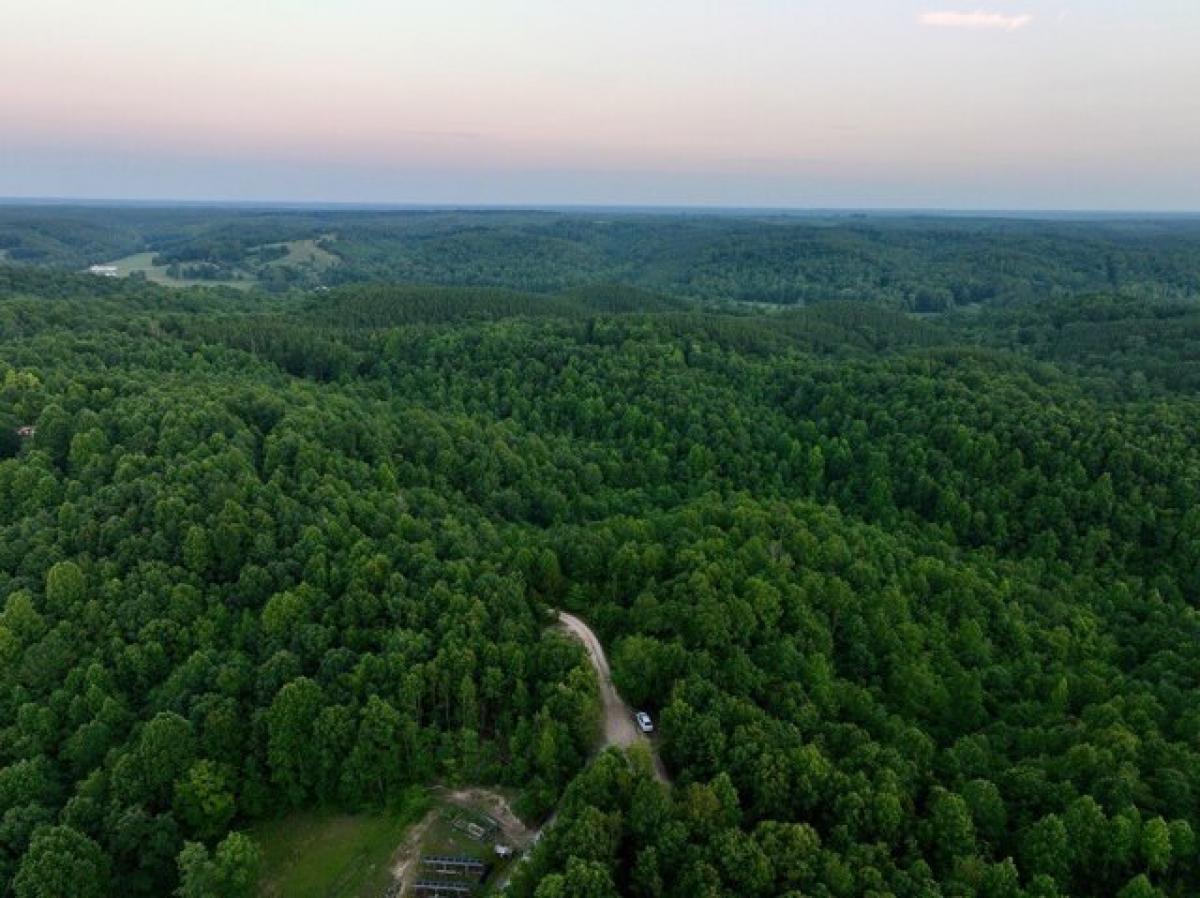 Picture of Residential Land For Sale in Linden, Tennessee, United States