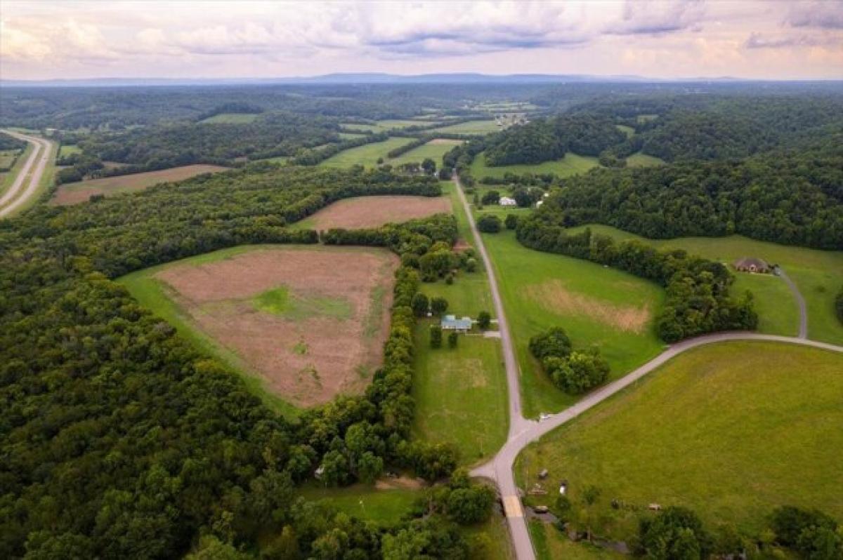 Picture of Residential Land For Sale in Kelso, Tennessee, United States