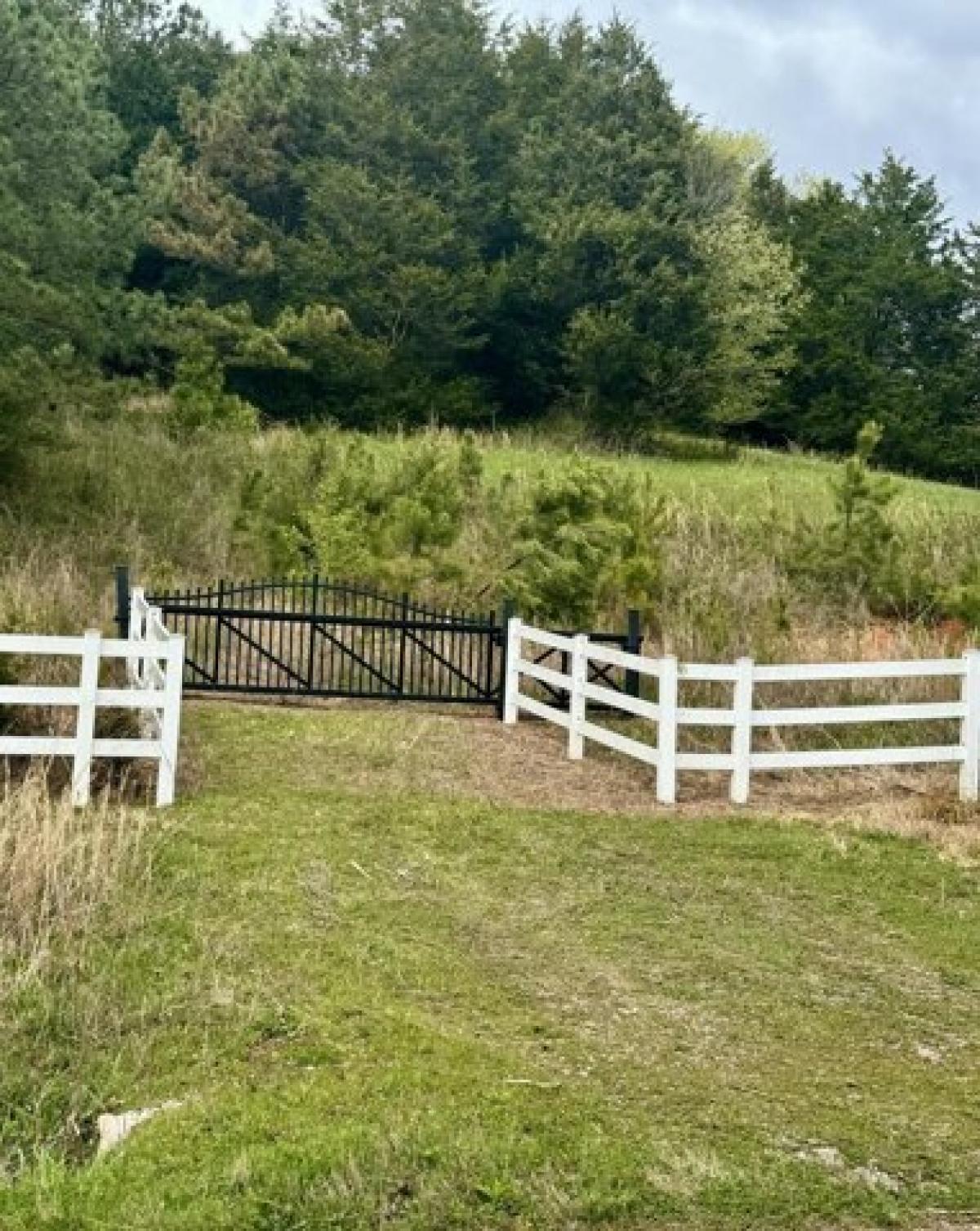 Picture of Residential Land For Sale in Decatur, Tennessee, United States