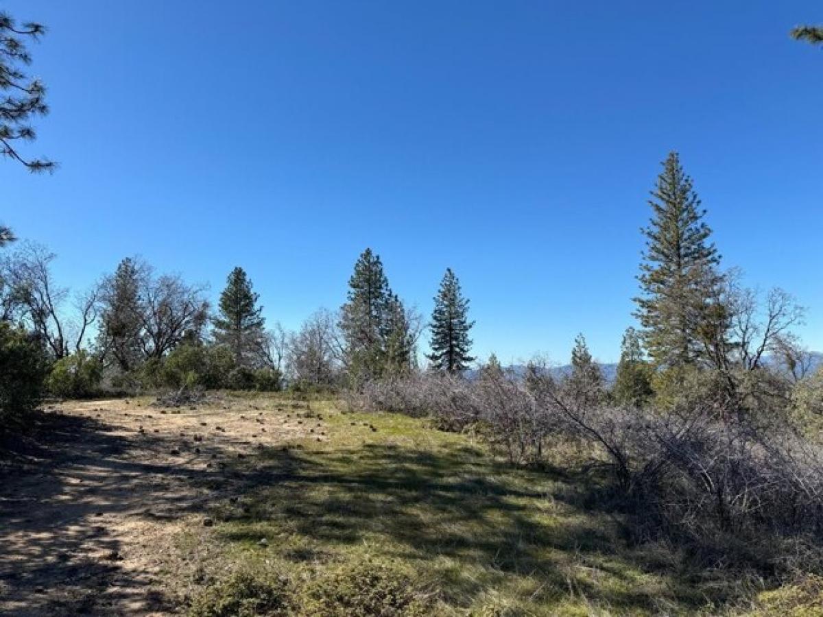 Picture of Residential Land For Sale in Auberry, California, United States