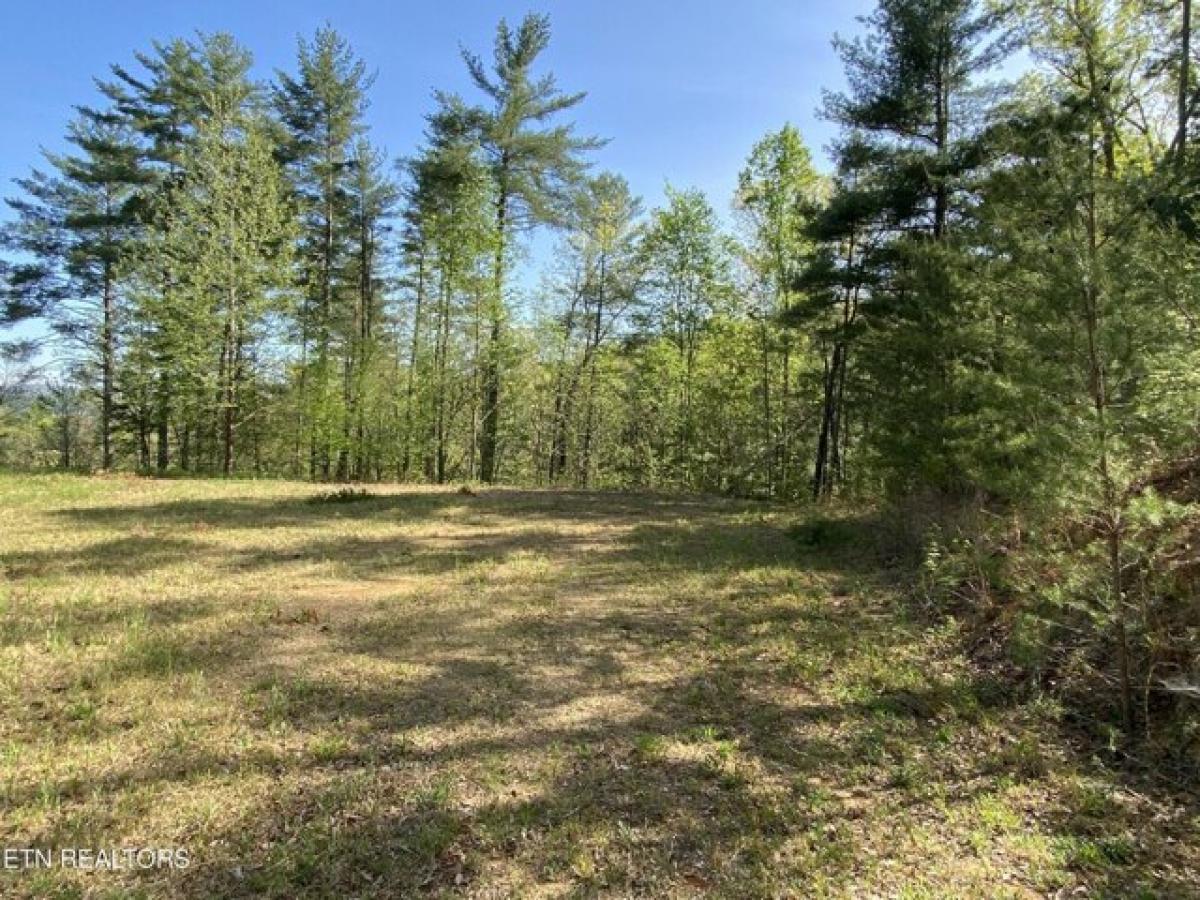 Picture of Residential Land For Sale in Reliance, Tennessee, United States