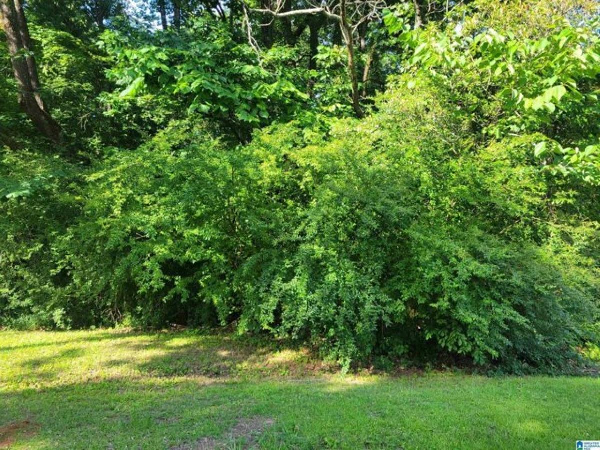 Picture of Residential Land For Sale in Graysville, Alabama, United States