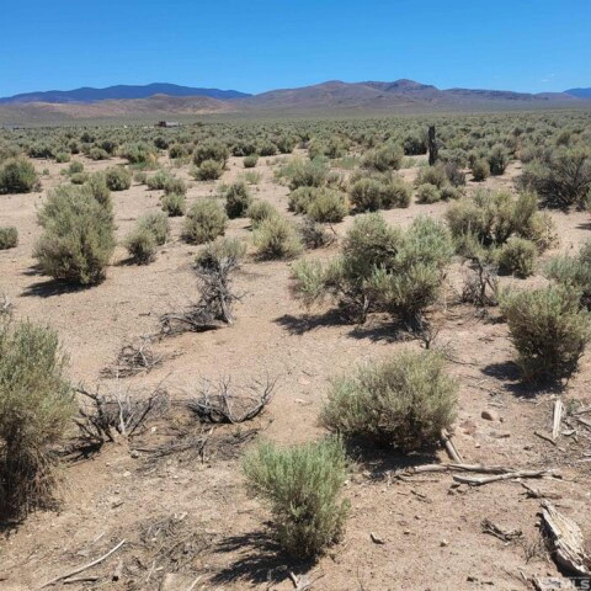 Picture of Residential Land For Sale in Wellington, Nevada, United States