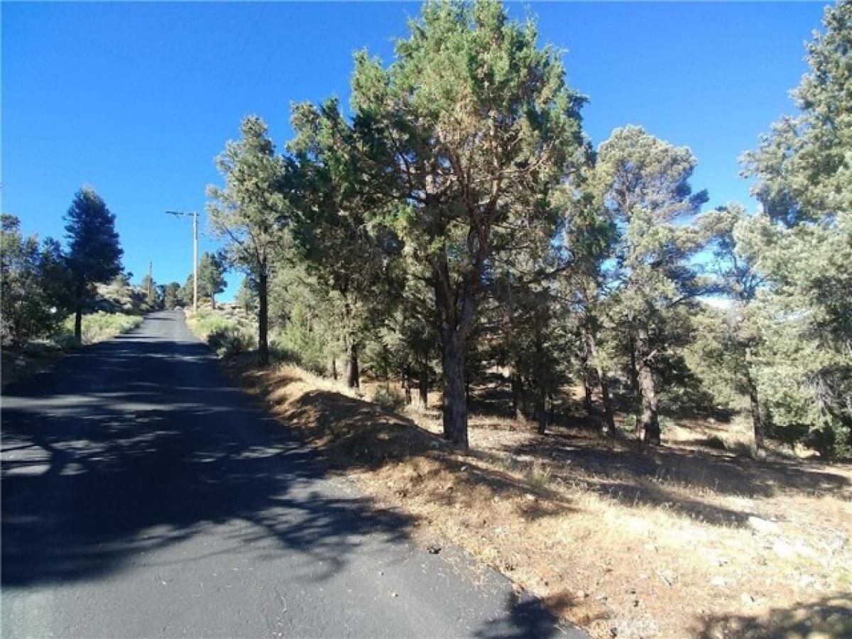 Picture of Residential Land For Sale in Big Bear City, California, United States