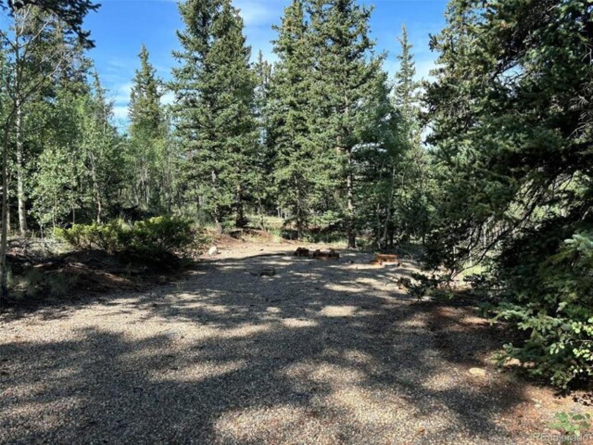 Picture of Residential Land For Sale in Jefferson, Colorado, United States