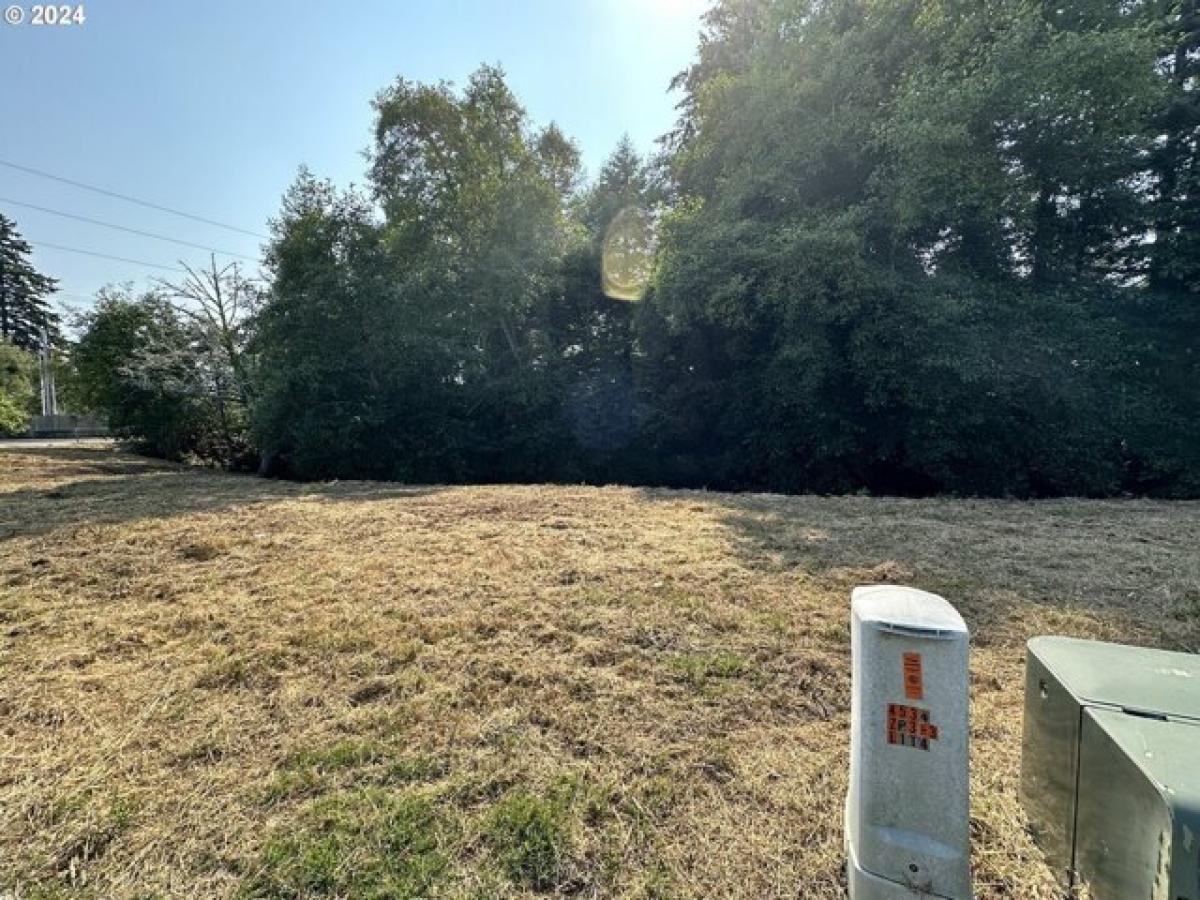 Picture of Residential Land For Sale in Brookings, Oregon, United States