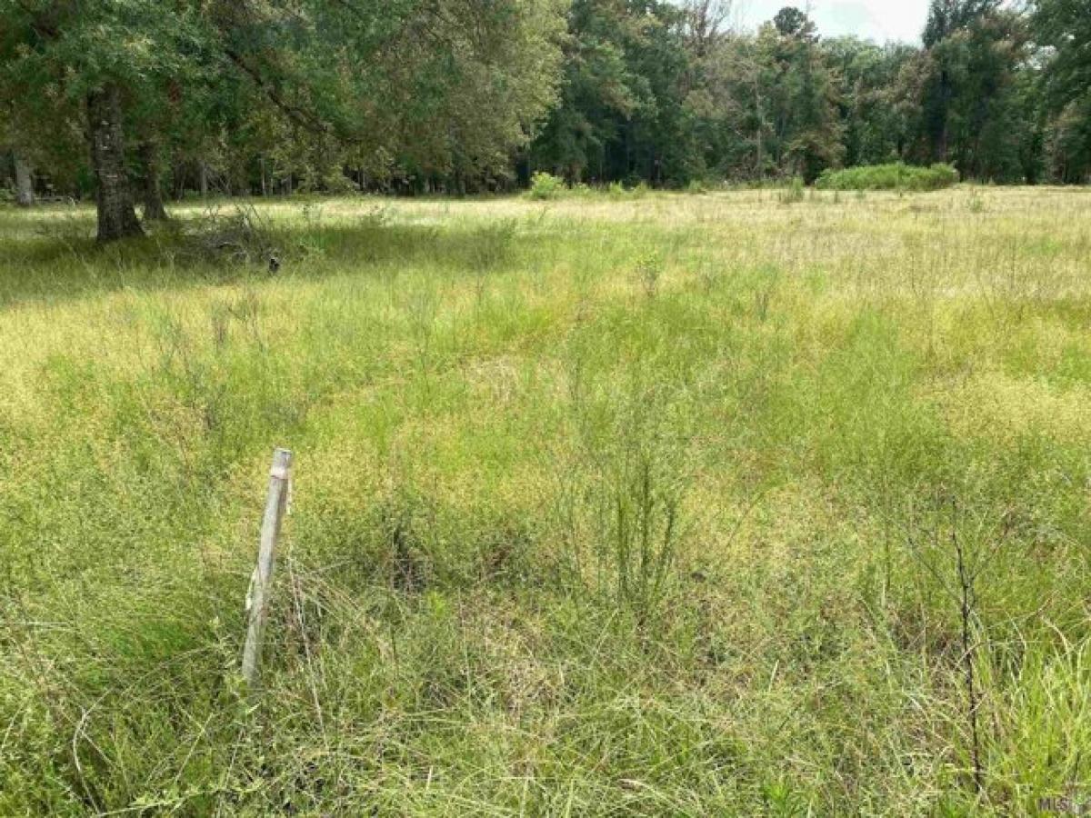 Picture of Residential Land For Sale in Holden, Louisiana, United States