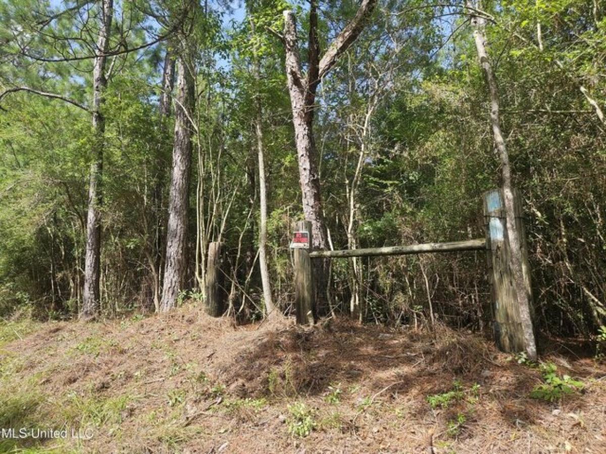 Picture of Residential Land For Sale in Perkinston, Mississippi, United States