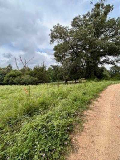 Residential Land For Sale in Grapeland, Texas