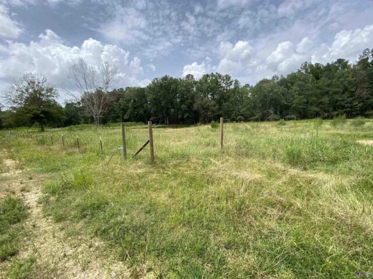 Picture of Residential Land For Sale in Holden, Louisiana, United States