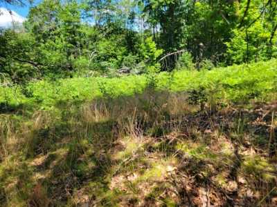 Residential Land For Sale in Luther, Michigan