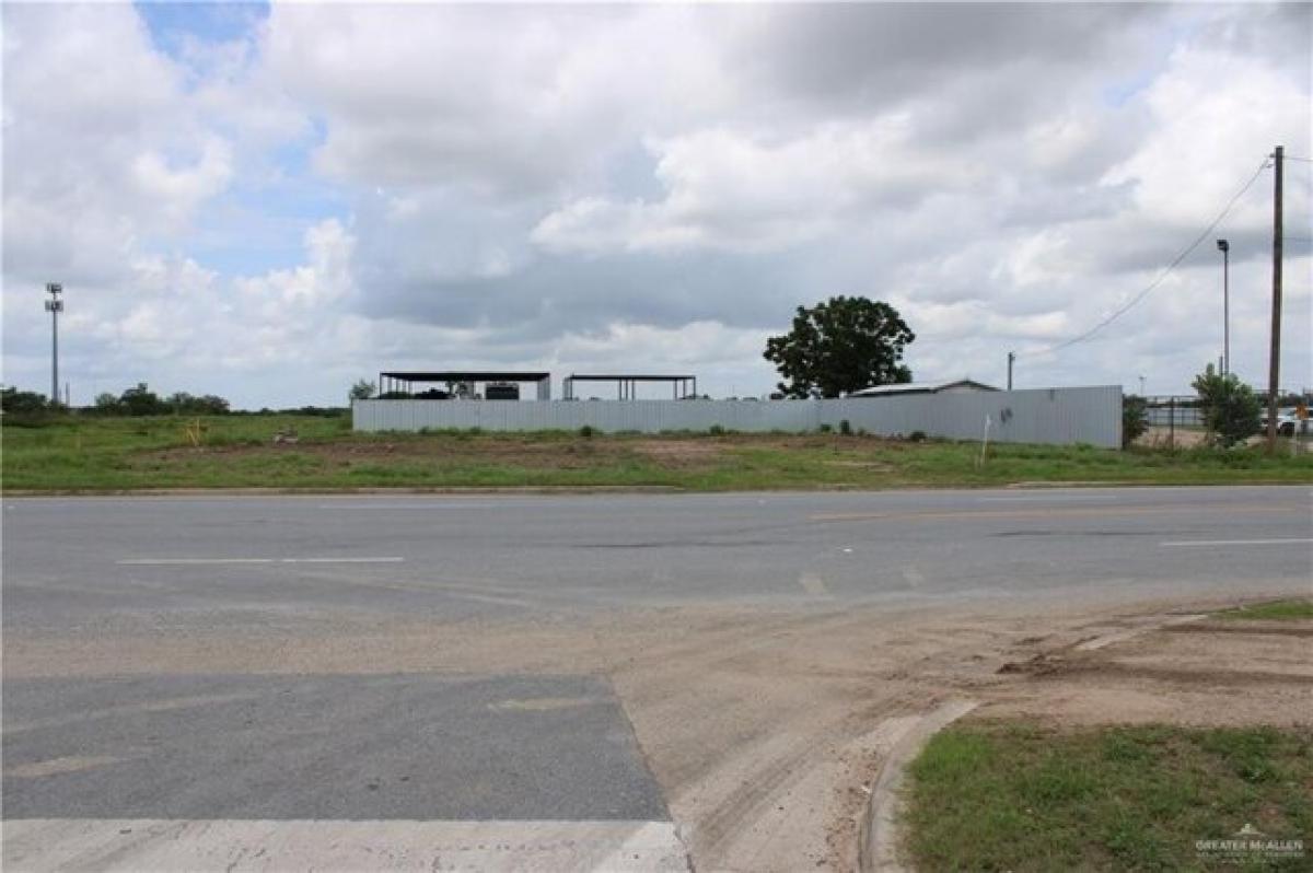 Picture of Residential Land For Sale in Alamo, Texas, United States