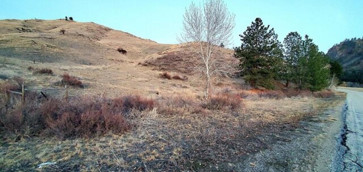 Picture of Residential Land For Sale in Hamilton, Montana, United States