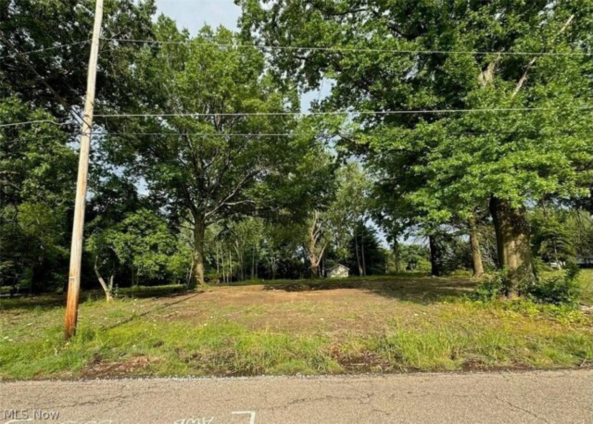 Picture of Residential Land For Sale in Alliance, Ohio, United States