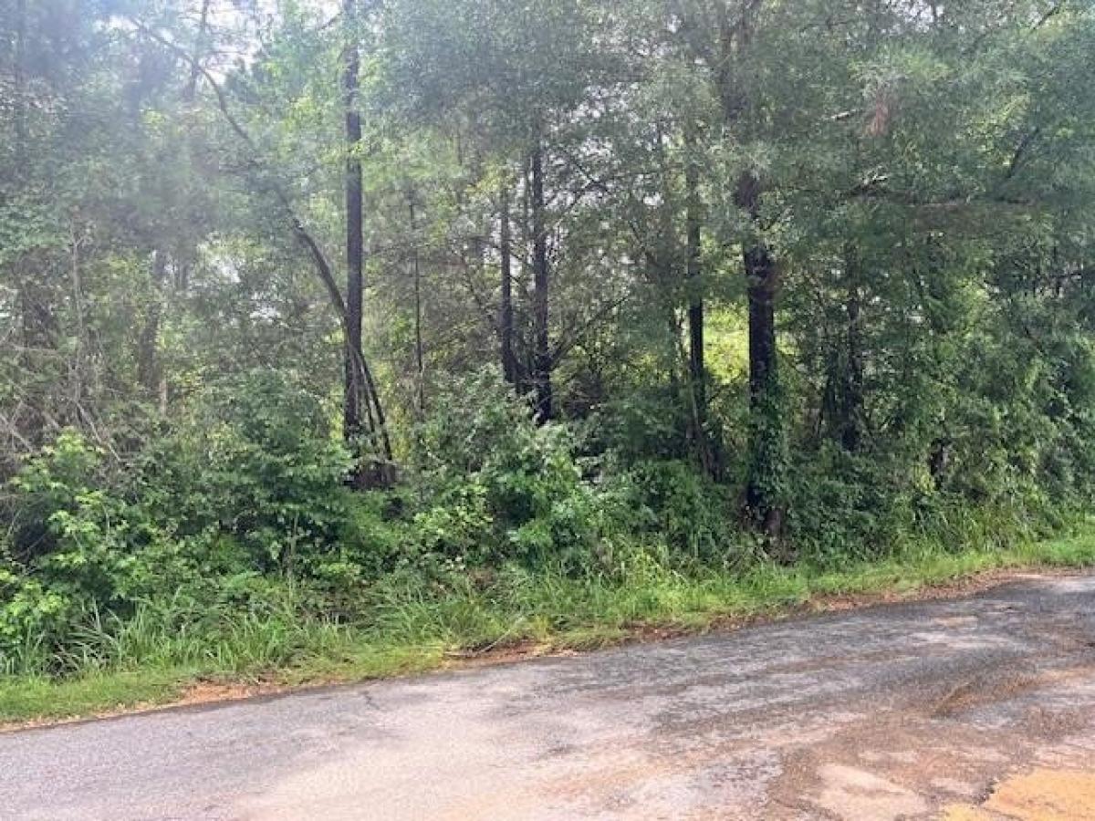 Picture of Residential Land For Sale in Ruth, Mississippi, United States