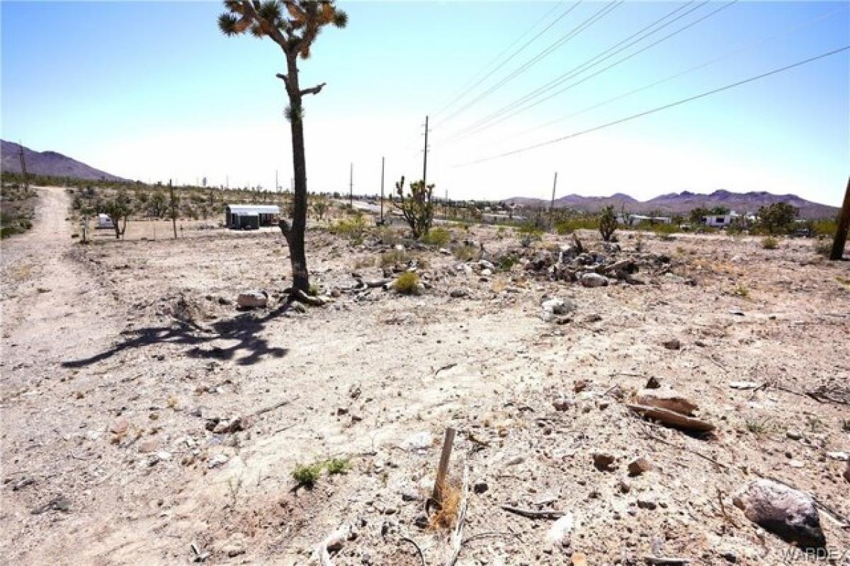 Picture of Residential Land For Sale in Dolan Springs, Arizona, United States