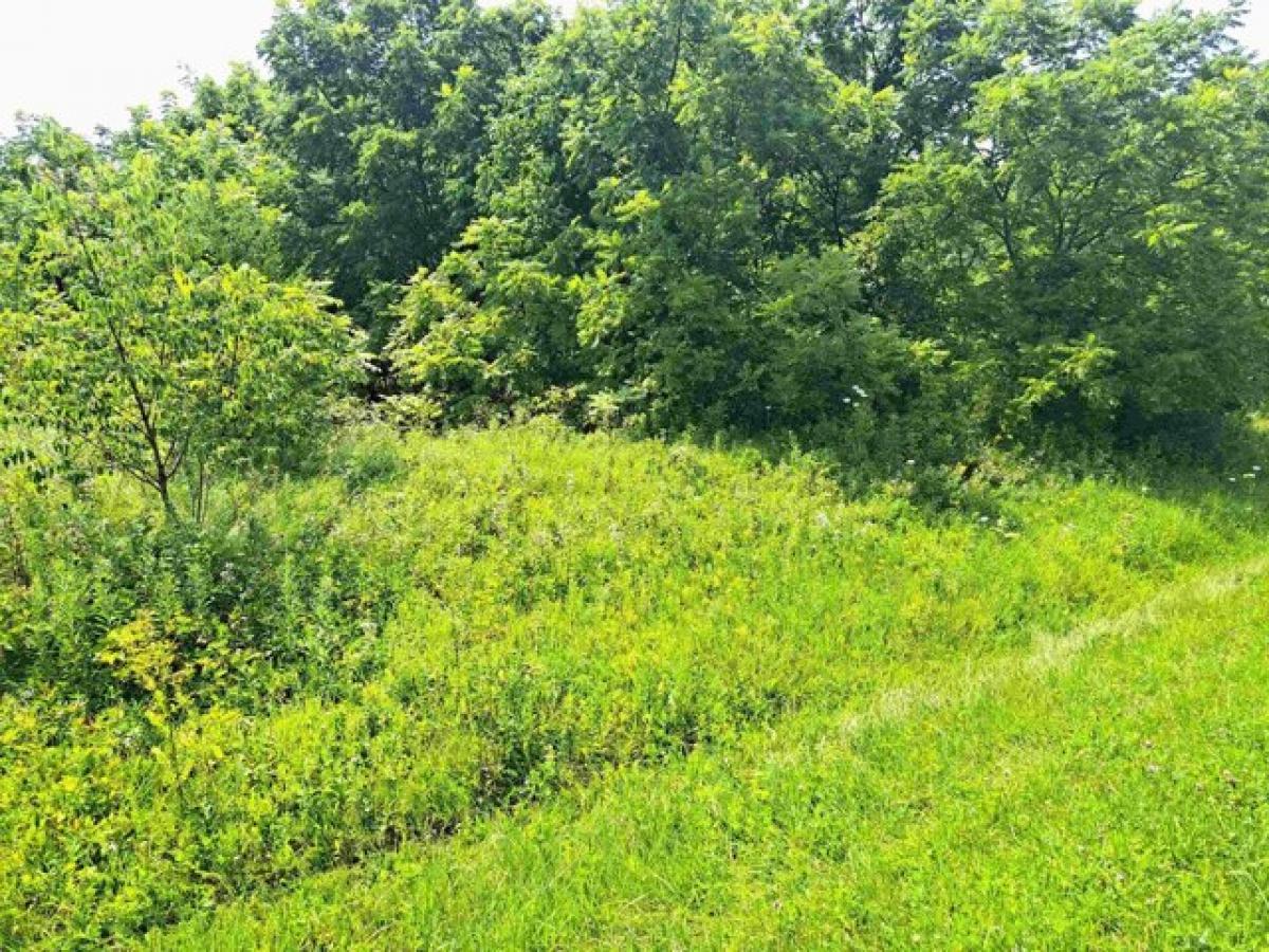 Picture of Residential Land For Sale in Galena, Illinois, United States