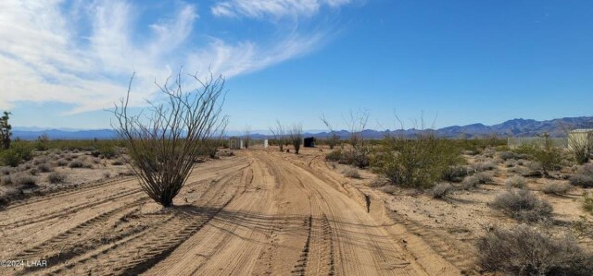 Picture of Residential Land For Sale in Yucca, Arizona, United States