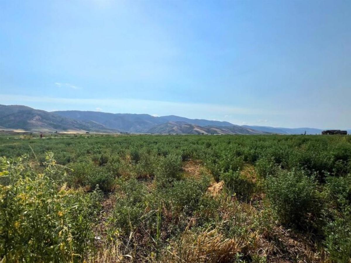 Picture of Residential Land For Sale in Grace, Idaho, United States