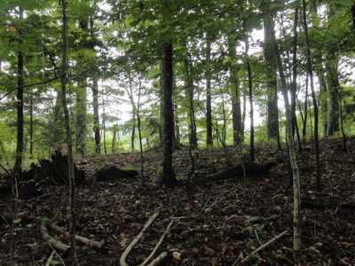 Residential Land For Sale in Englewood, Tennessee