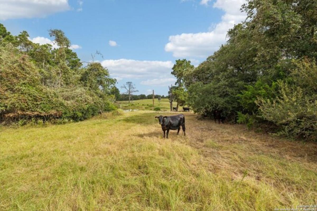 Picture of Residential Land For Sale in Red Rock, Texas, United States