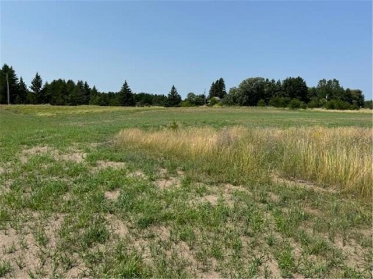 Picture of Residential Land For Sale in Bemidji, Minnesota, United States