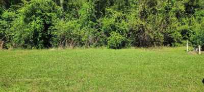 Residential Land For Sale in Carriere, Mississippi