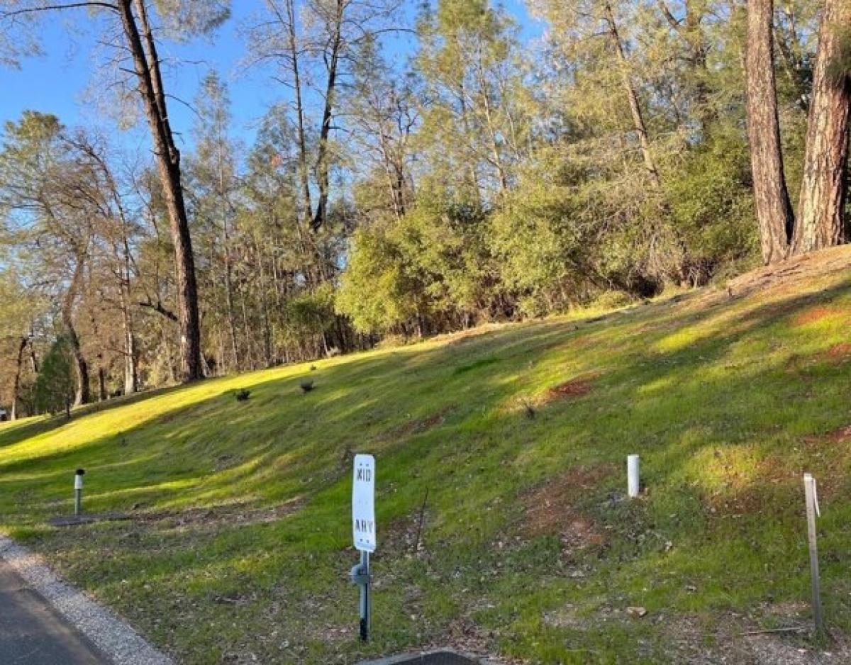 Picture of Residential Land For Sale in Auburn, California, United States