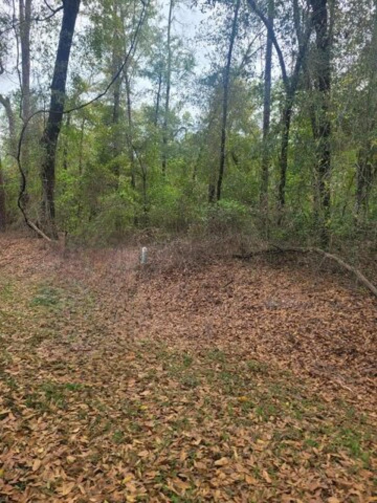 Picture of Residential Land For Sale in Bainbridge, Georgia, United States