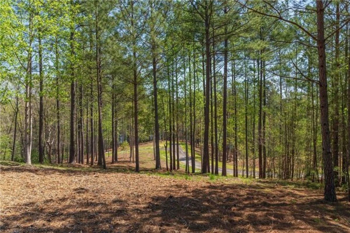 Picture of Residential Land For Sale in Salem, South Carolina, United States