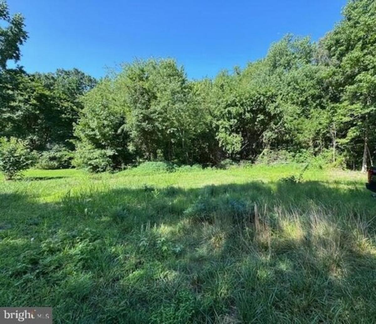 Picture of Residential Land For Sale in Rock Hall, Maryland, United States