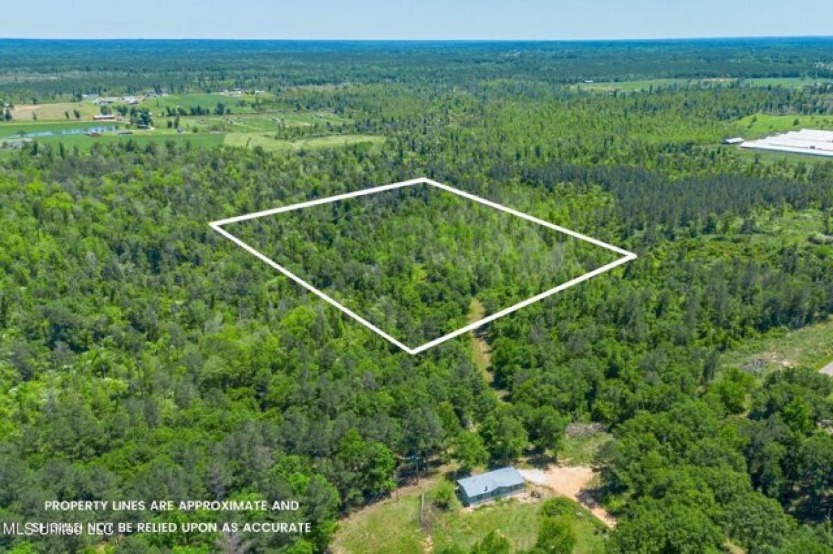 Picture of Residential Land For Sale in Collins, Mississippi, United States