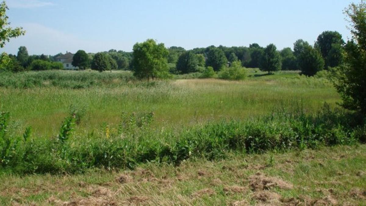 Picture of Residential Land For Sale in Huntley, Illinois, United States