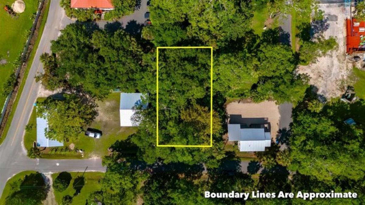 Picture of Residential Land For Sale in Saint Marks, Florida, United States