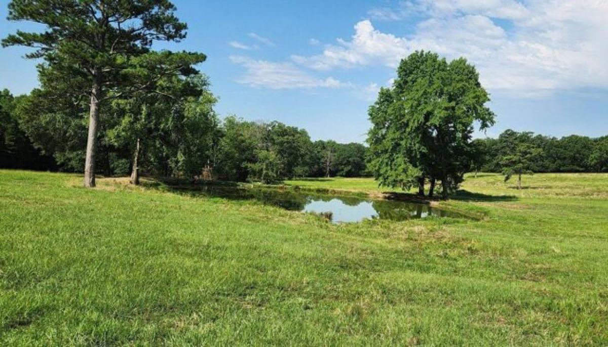 Picture of Home For Sale in Clayton, Oklahoma, United States