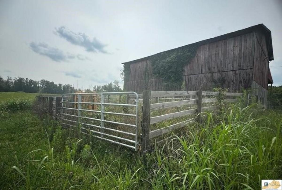 Picture of Residential Land For Sale in Glasgow, Kentucky, United States